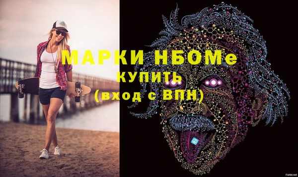 бошки Бронницы